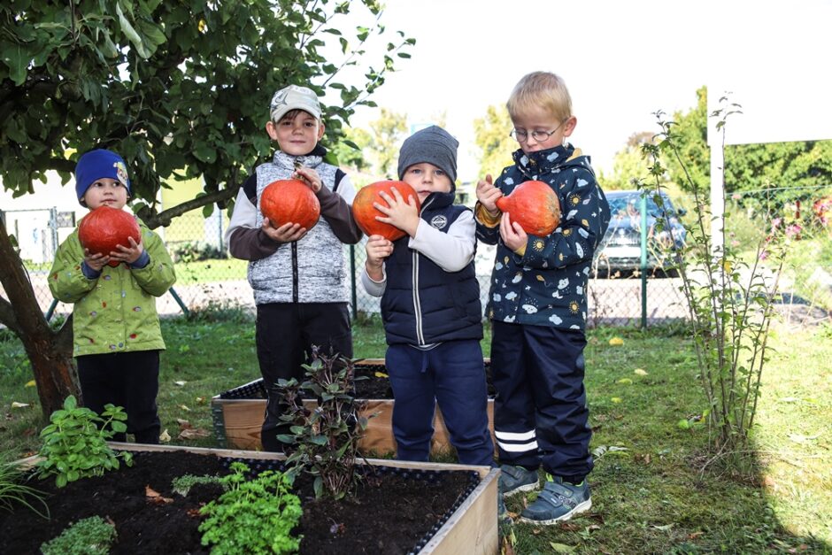 Erste ertragreiche Gartensaison in der Kita Sonnenschein