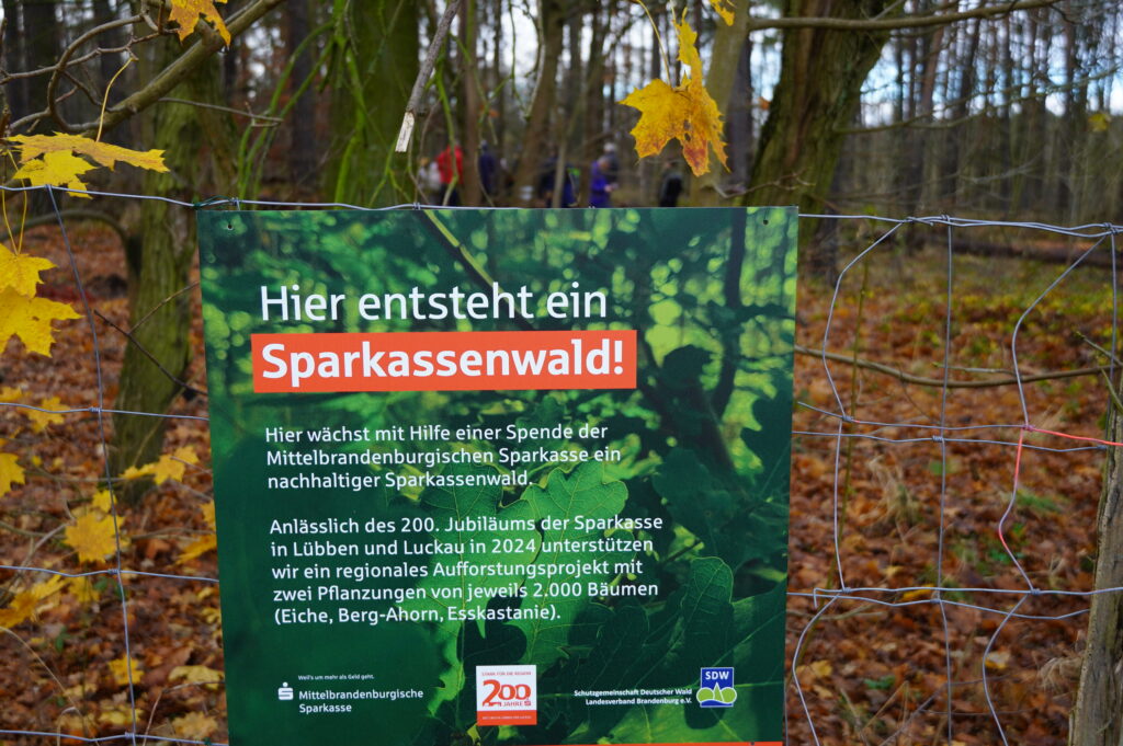 Hier entsteht ein Sparkassenwald